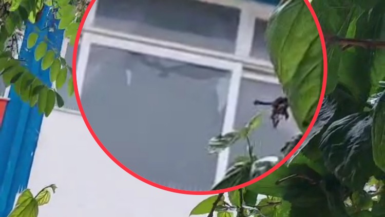 Συγκέντρωση διαμαρτυρίας γονέων για τις αδέσποτες σφαίρες στο Μενίδι – “Τα παιδιά φοβούνται να πάνε σχολείο” (pics&vid)