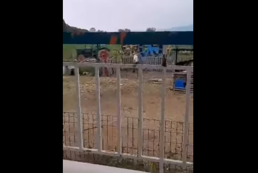 Θεσσαλονίκη: Μήνυση σε άνδρα που κακοποίησε βάναυσα σκύλο (ΣΚΛΗΡΟ ΒΙΝΤΕΟ)