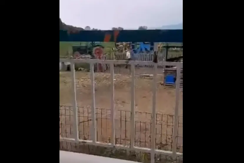 Θεσσαλονίκη: Μήνυση σε άνδρα που κακοποίησε βάναυσα σκύλο (ΣΚΛΗΡΟ ΒΙΝΤΕΟ)