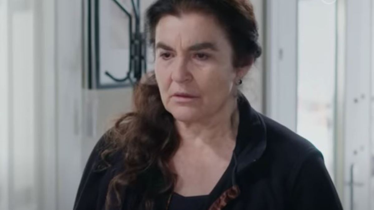 Η γη της ελιάς