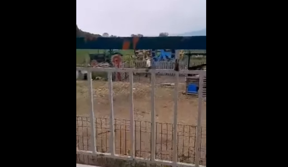 Κακοποίηση ζώου στη Θεσσαλονίκη: Συνελήφθη ο άνδρας που βάρεσε με ξύλο σκυλάκι (ΣΚΛΗΡΟ ΒΙΝΤΕΟ)