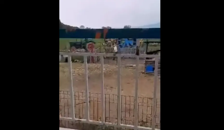 Κακοποίηση ζώου στη Θεσσαλονίκη: Συνελήφθη ο άνδρας που βάρεσε με ξύλο σκυλάκι (ΣΚΛΗΡΟ ΒΙΝΤΕΟ)