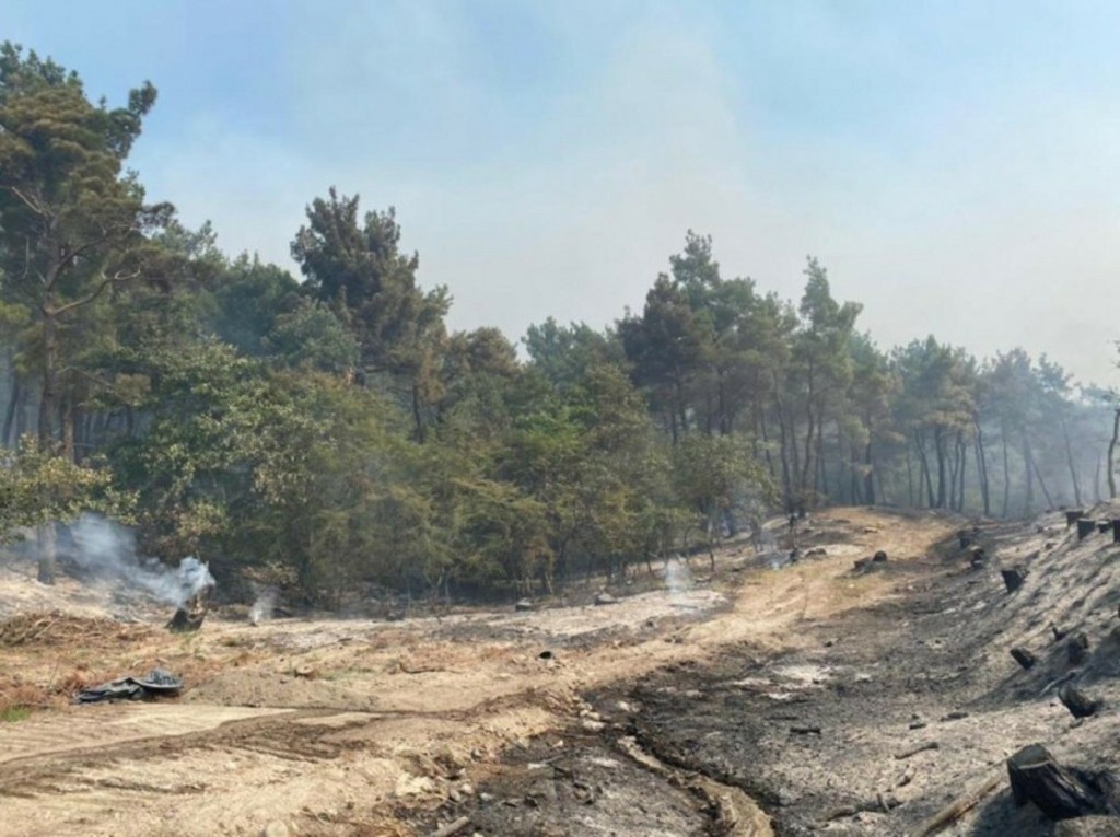 Στην Ελλάδα οι 80 μετανάστες που βρισκόντουσαν σε νησίδα στον Έβρο – Ενημέρωσε την Τουρκία η ελληνική πλευρά
