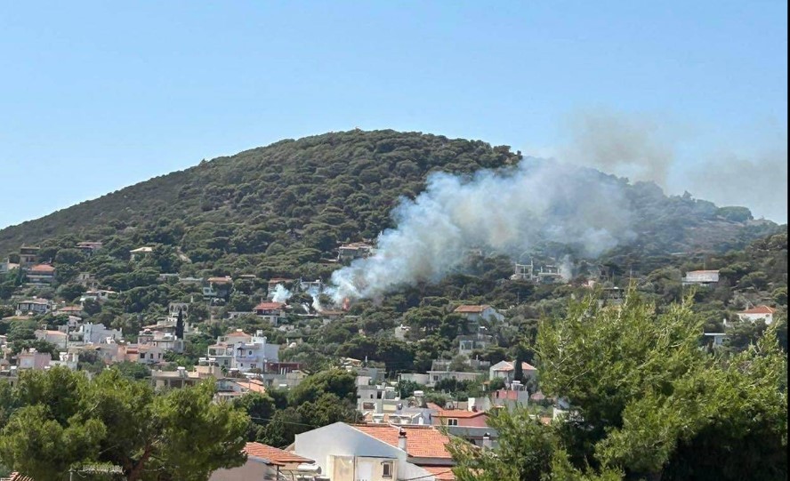 Οριοθετήθηκε η φωτιά στην Αρτέμιδα (pics)