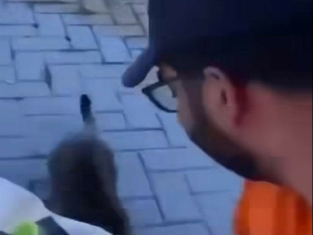 Πήρε θέση για την κακοποίηση γάτας στη Θάσο η Πολιτική Προστασία – «Καμία θεσμική ή λειτουργική σχέση το συγκεκριμένο άτομο»