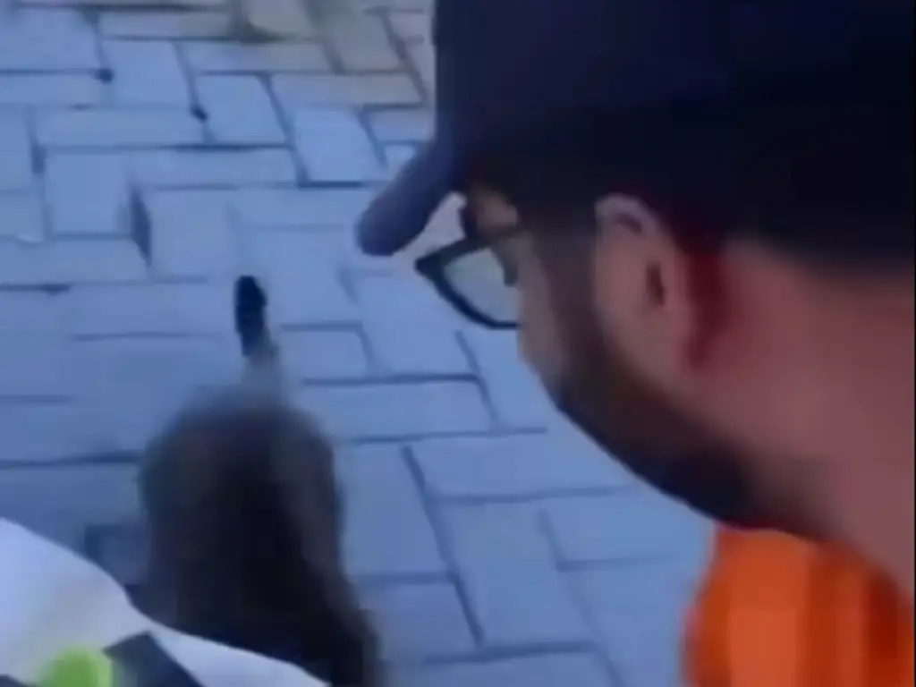 Σάλος και οργή μετά την κακοποίηση γάτας στη Θάσο – Τη δελέασε με φαγητό και τη χτύπησε με μπουκάλι (vid)