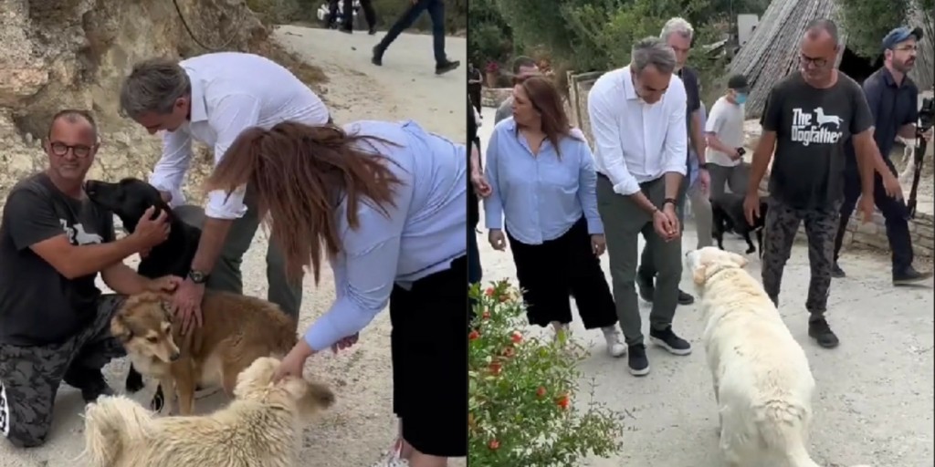 Κυριάκος Μητσοτάκης: Νέο βίντεο στο TikTok για τα αδέσποτα – Έτσι γνώρισε τον “Πίνατ” που έγινε σταρ