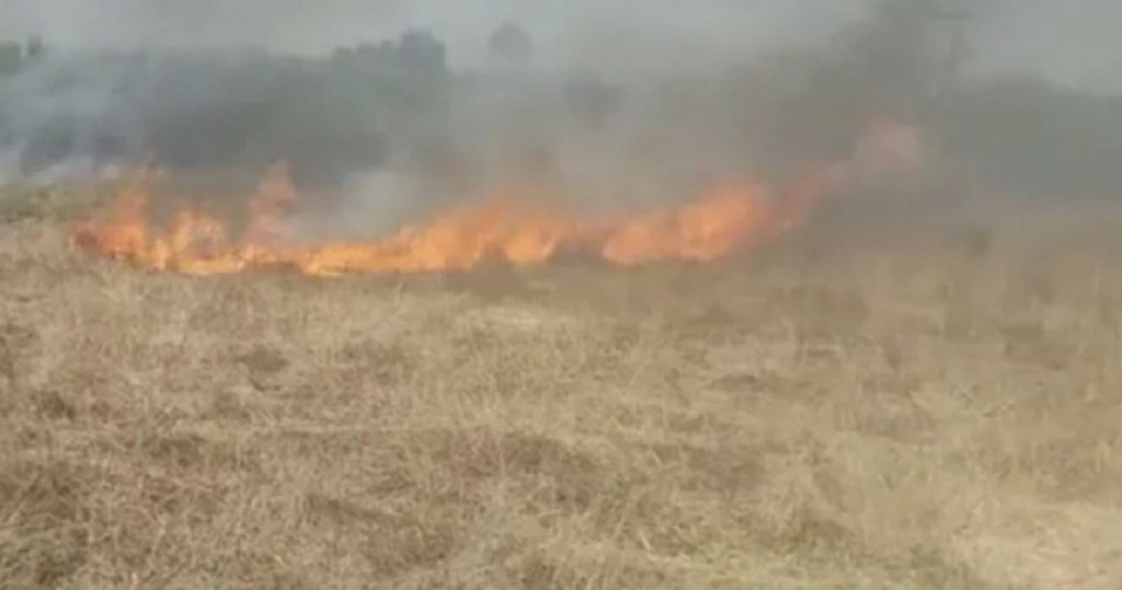 Υπό μερικό έλεγχο η φωτιά στην Κέρκυρα