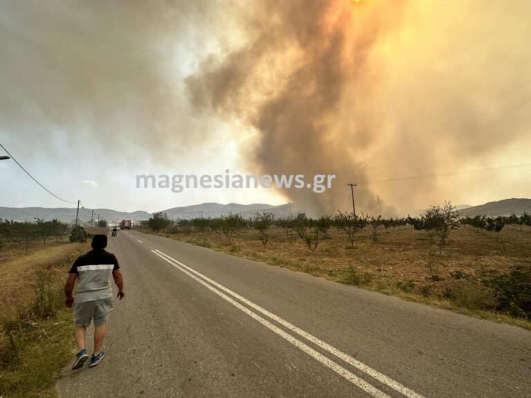 Φωτιά στο Βελεστίνο: Αγνοείται βοσκός στον Άγιο Γεώργιο Φερών