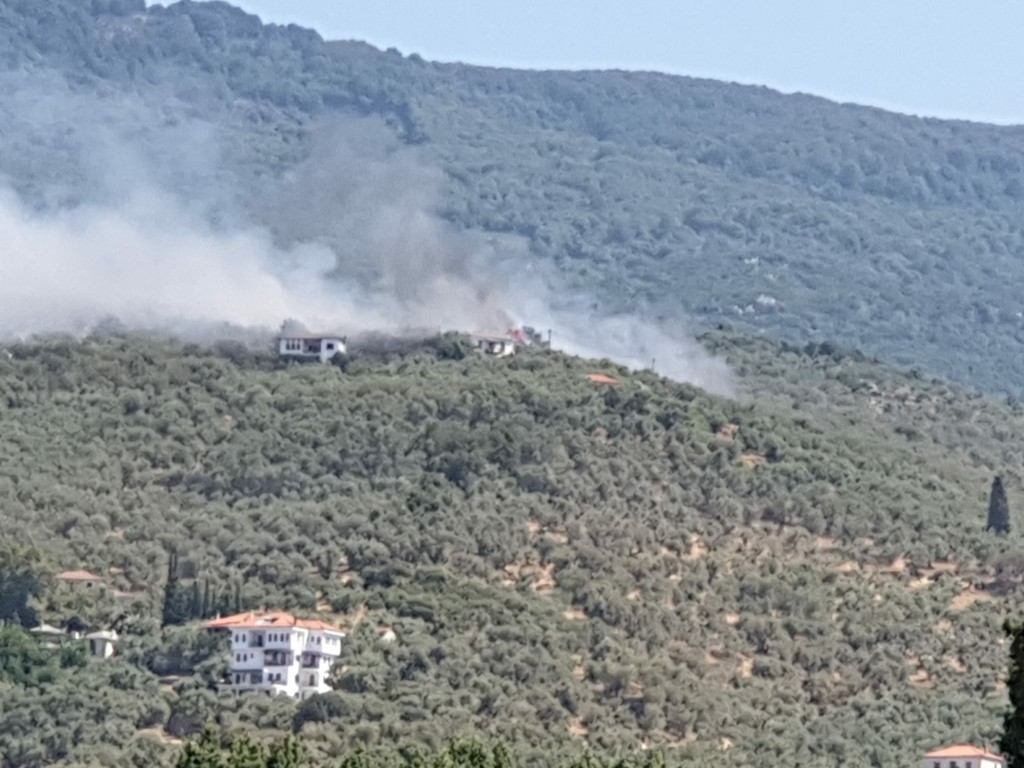 Υπό πλήρη έλεγχο η φωτιά στα Αργυραίικα του Πηλίου