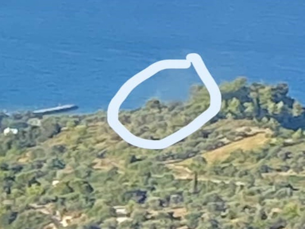 Φωτιά τώρα σε δασική έκταση στην Εύβοια