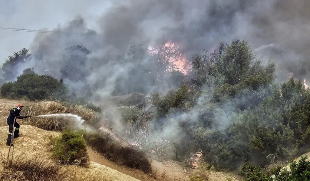 Αυτά είναι τα 13 μέτρα στήριξης των πυρόπληκτων από την κυβέρνηση