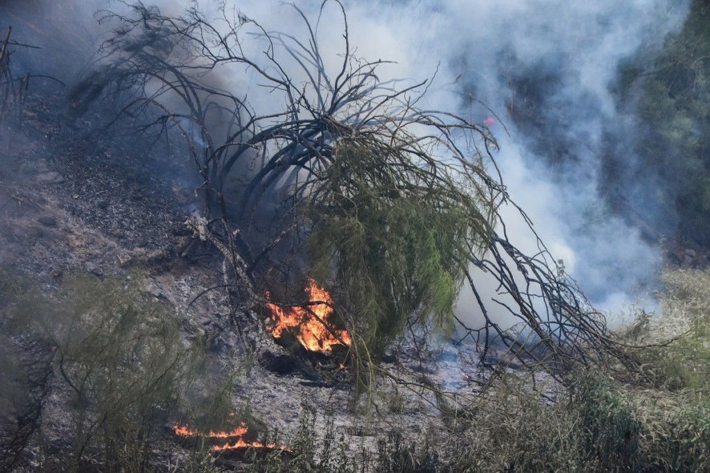 «Καμπανάκι» για κίνδυνο πυρκαγιάς σε έξι περιφέρειες της Ελλάδας