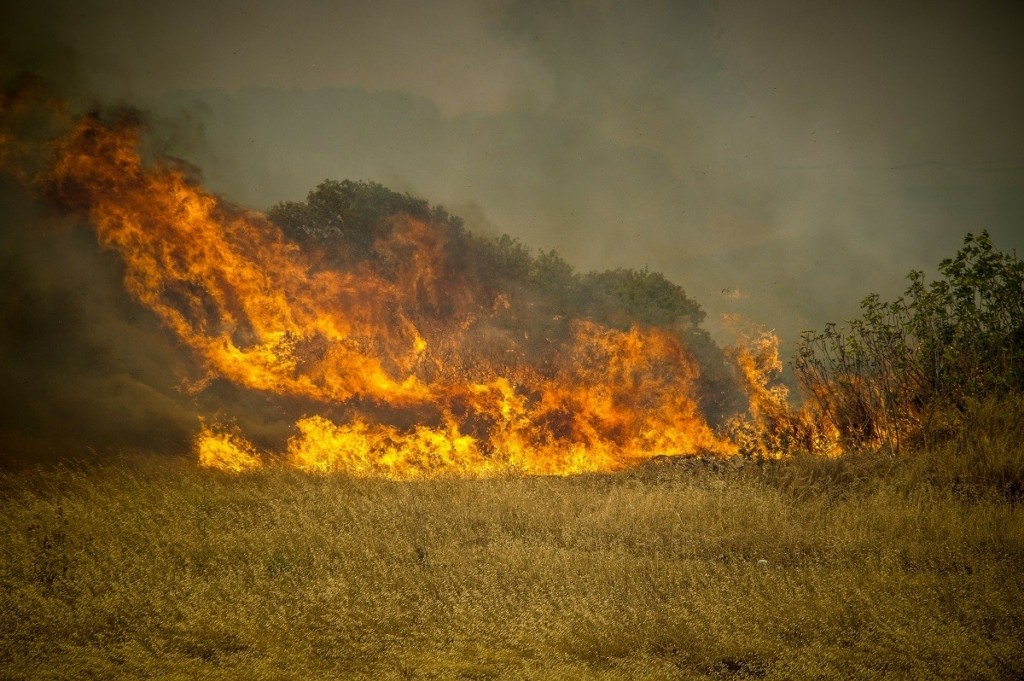 Φωτιά στη Ρόδο: Συνεχίζεται η μάχη των πυροσβεστών με τα πύρινα μέτωπα – Νέο μήνυμα του 112 για εκκένωση του χωριού Κάλαθος (pics&vids)
