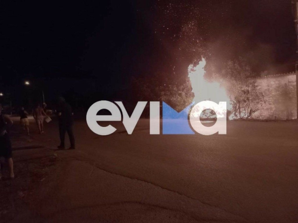 Φωτιά στην Εύβοια από μετασχηματιστή της ΔΕΗ