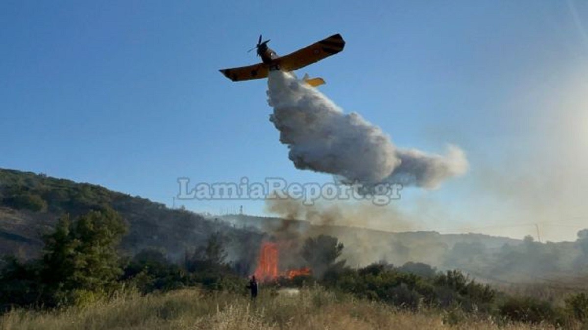 Φωτιά ΤΩΡΑ στο Δομοκό κοντά στο Παράρτημα ΑμεΑ
