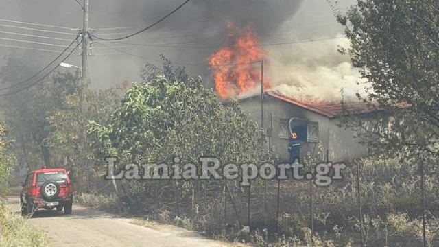 Φωτιά στη Λαμία: Εκκενώνεται το βόρειο τμήμα της πόλης – 112 και για Νέα Μαγνησία, Μεγάλη Βρύση και Αγία Παρασκευή