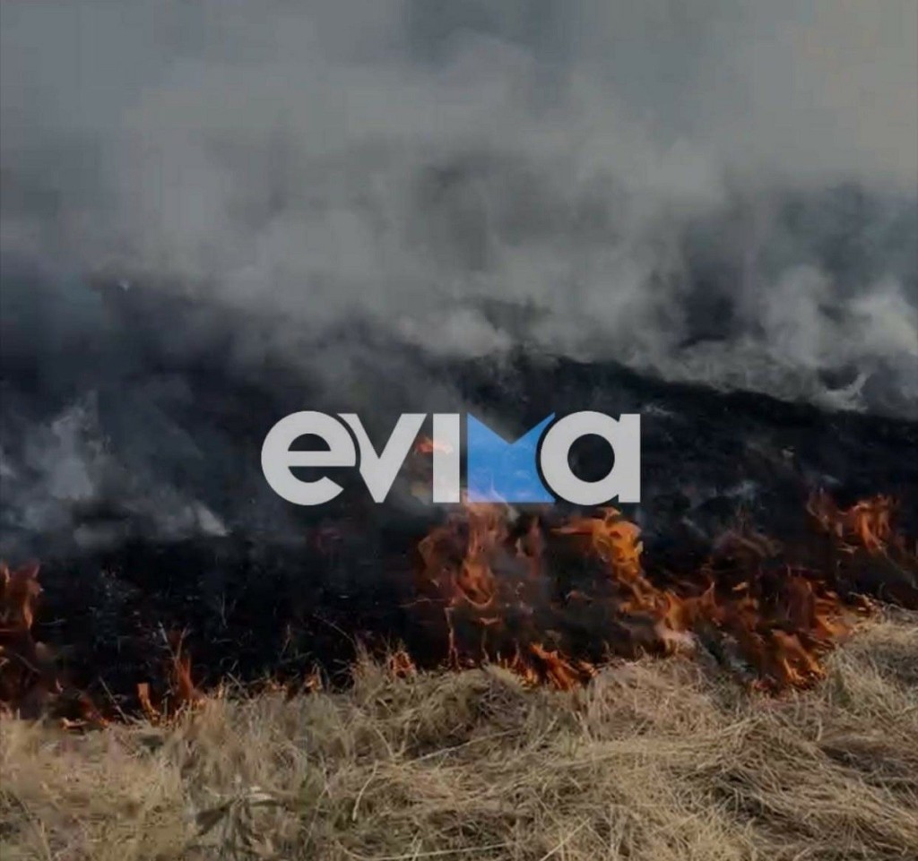 Φωτιά ΤΩΡΑ στη Ριτσώνα Ευβοίας