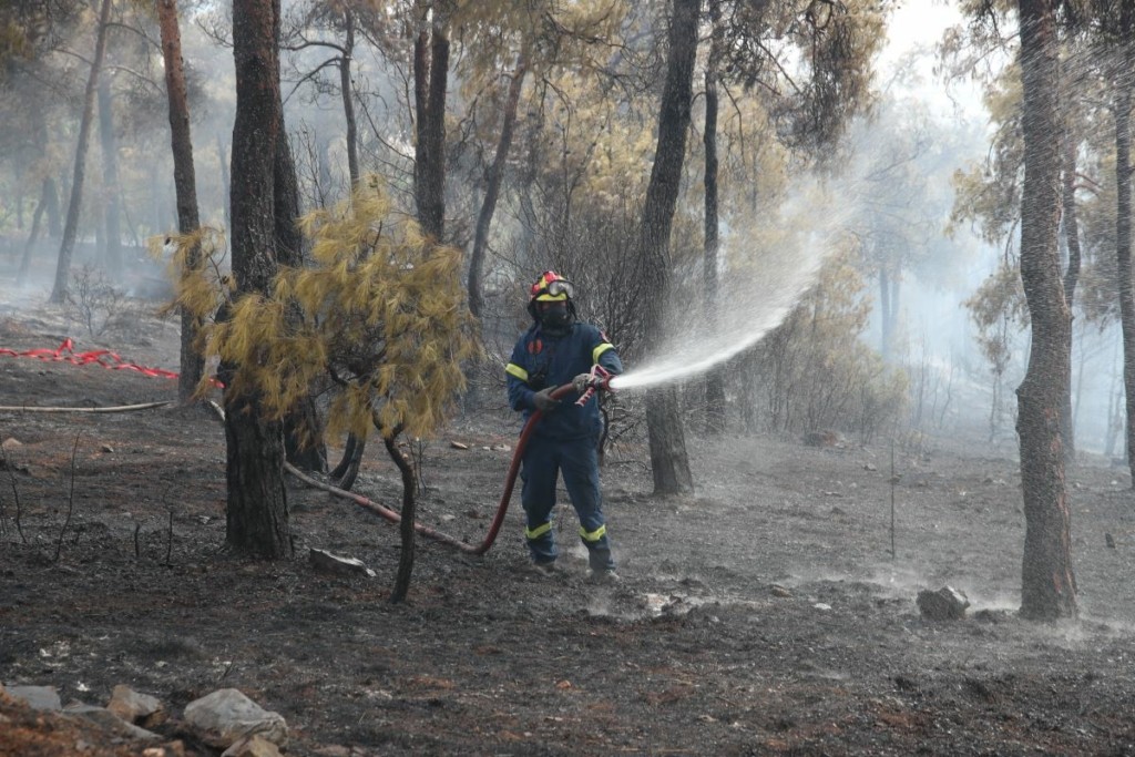 Θεσσαλονίκη: Πρόστιμο 300 σε παρέα που αγνόησε την απαγόρευση στο δάσος Σέιχ Σου