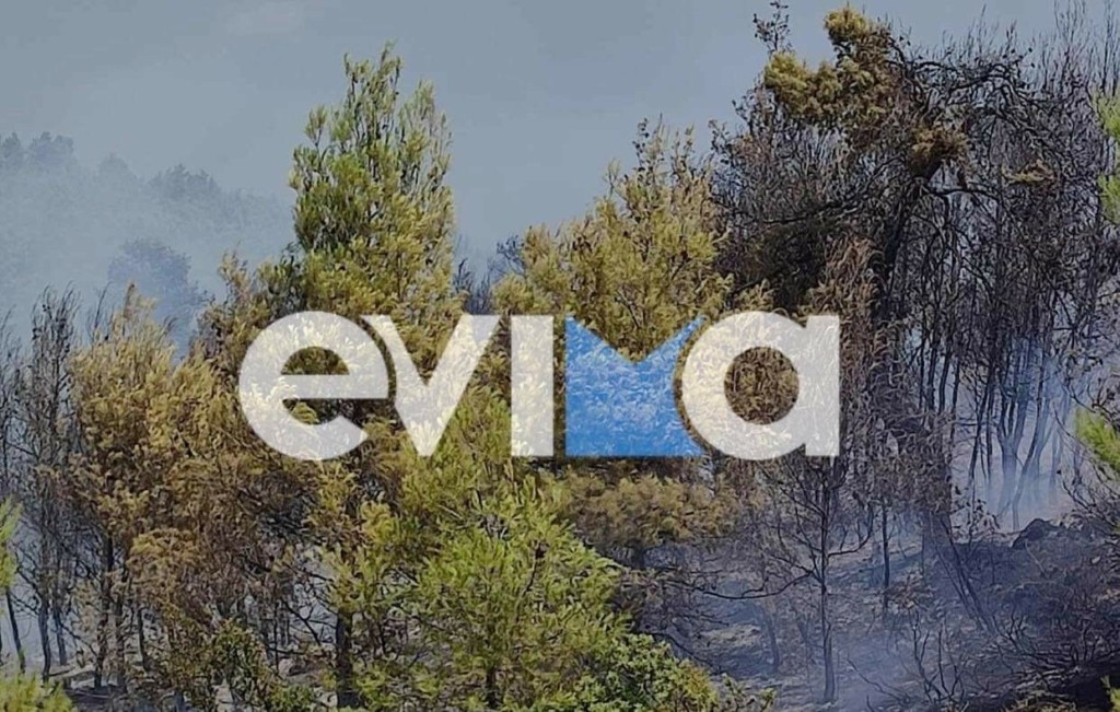 Υπό μερικό έλεγχο η πυρκαγιά στην Εύβοια