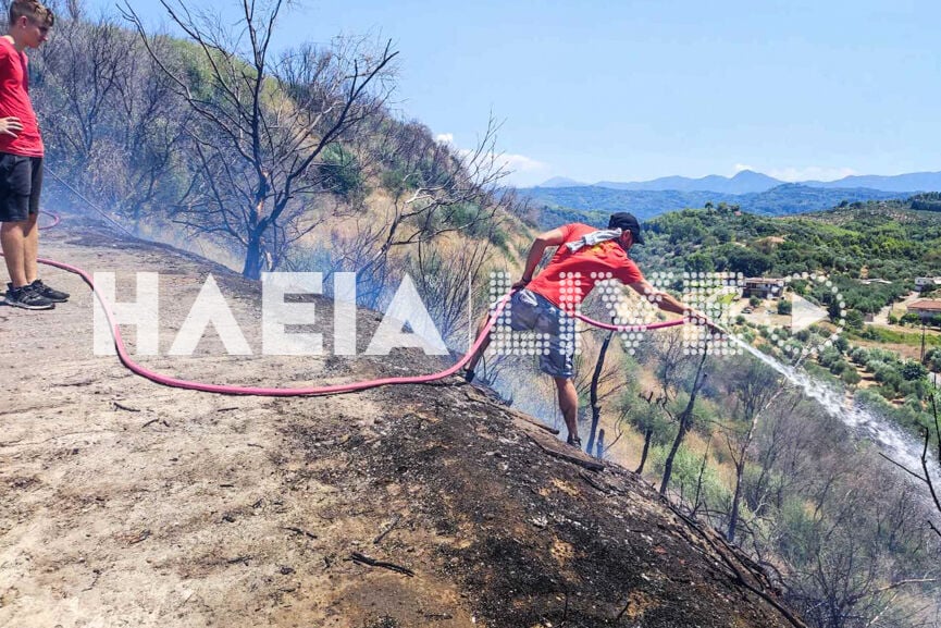 Φωτιά στον Πλάτανο Ηλείας – Τέθηκε υπό έλεγχο