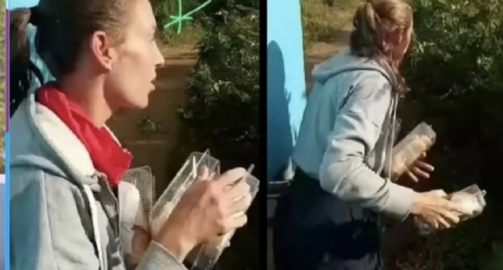 Στ’ άρματα Δαλάκα και Φιντιρίκος για τον «κομιστή» των φωτογραφιών με τα δύο σάντουιτς στο Survivor