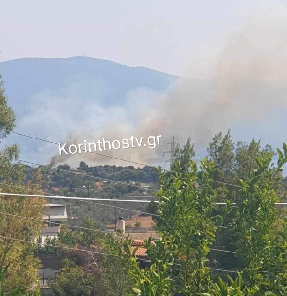Υπό μερικό έλεγχο η πυρκαγιά σε αγροτοδασική έκταση στο Λημέρι Κορινθίας