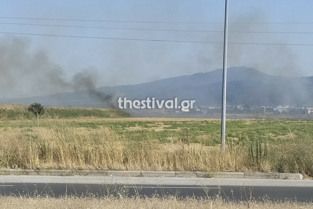 Φωτιά στον Λαγκαδά Θεσσαλονίκης – Τέθηκε υπό μερικό έλεγχο