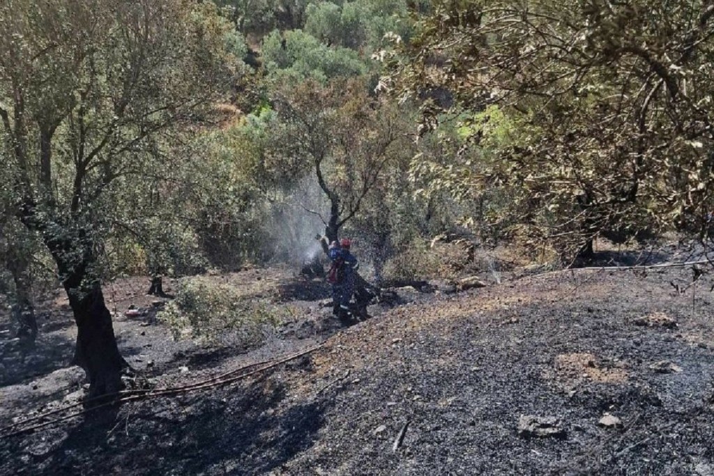 Τέθηκε υπό μερικό έλεγχο η φωτιά στη Λέσβο