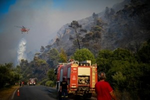 Μπαράζ συλλήψεων για πυρκαγιές από αμέλεια σε Φθιώτιδα, Σέρρες, Αττική και Ρόδο
