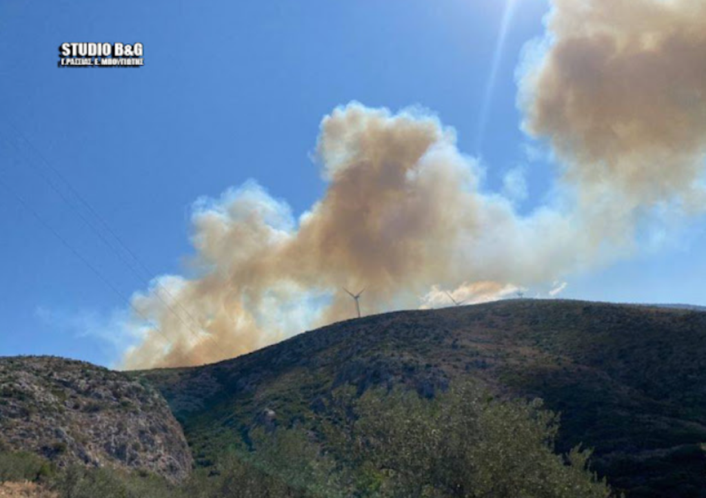 Φωτιά τώρα στον Άγιο Δημήτριο Αργολίδας – Ανησυχία για τα σπίτια