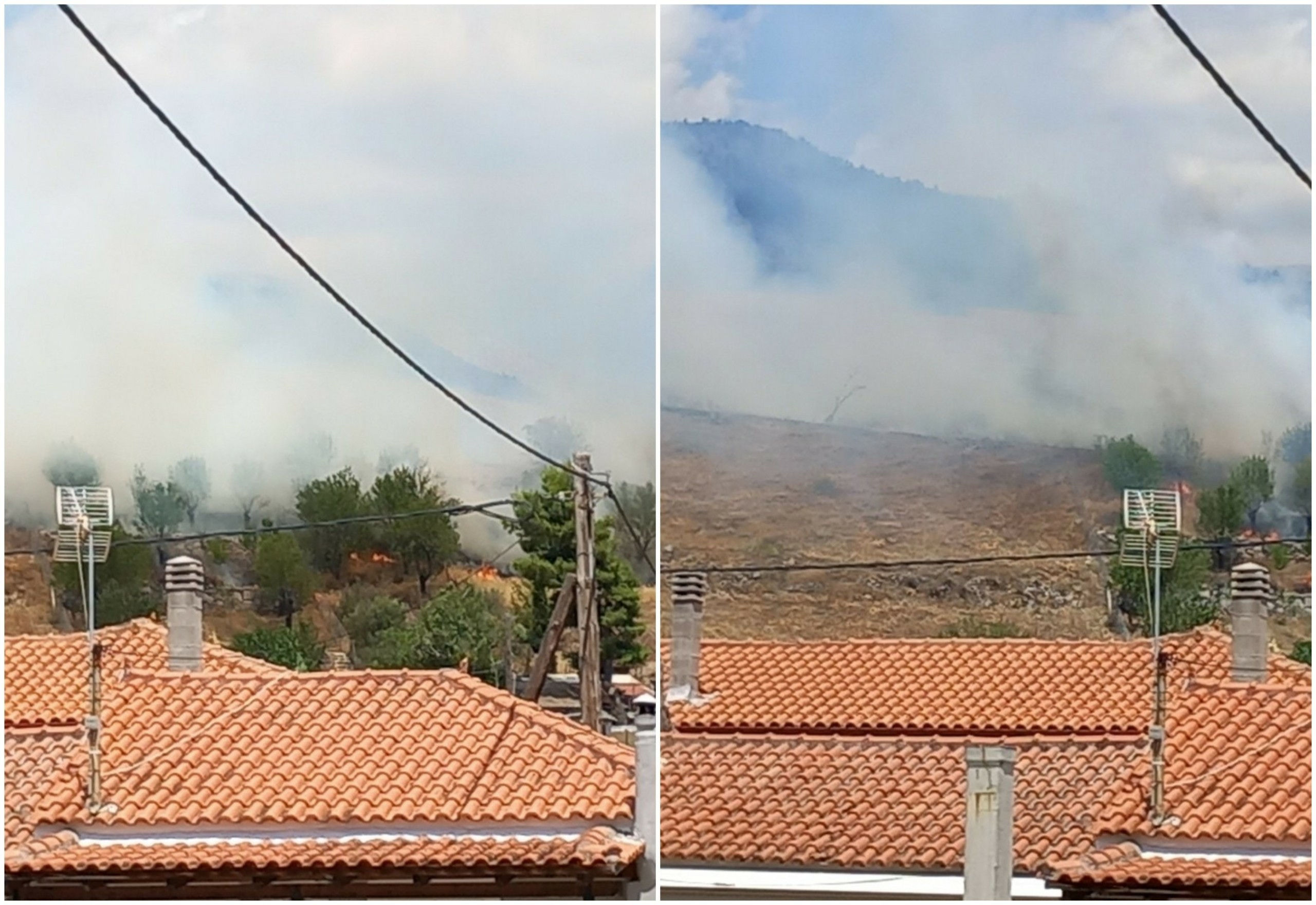 Φωτιά ΤΩΡΑ στο Δίστομο