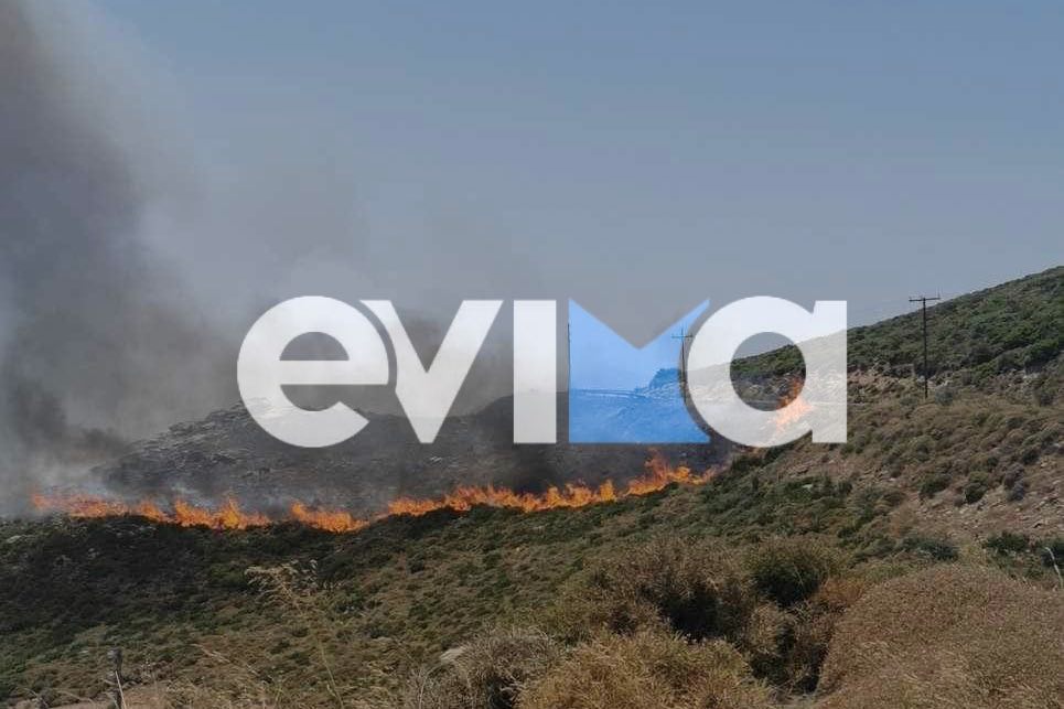 Συναγερμός για μεγάλη φωτιά στην Εύβοια – Τριπλό μέτωπο στην Κάρυστο (vid)