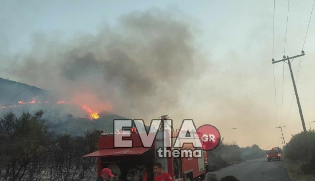 Φωτιά στο Μηλάκι της Νότια Εύβοιας