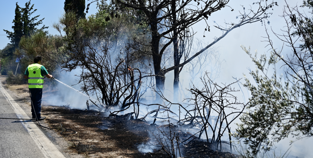 Φωτιά τώρα στην Υλίκη Βοιωτίας – Επιχειρούν ισχυρές πυροσβεστικές δυνάμεις
