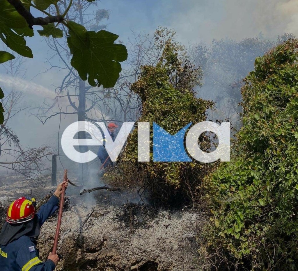 Νέα φωτιά τώρα στην Εύβοια – Κοντά στο χωριό Βίταλο στην Κύμη