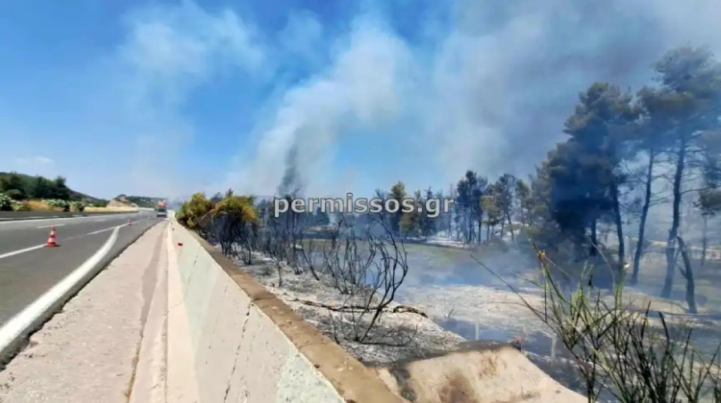 Φωτιά τώρα στην Υλίκη Βοιωτίας – Δίπλα στην εθνική οδό Αθηνών – Λαμίας οι φλόγες