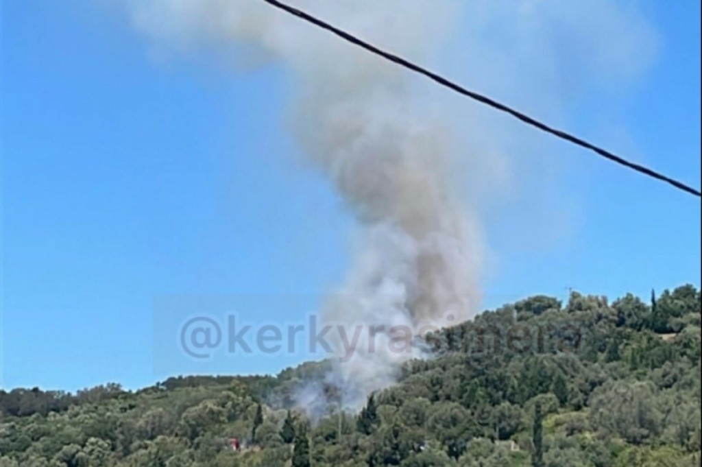 Υπό έλεγχο η νέα φωτιά στην Κέρκυρα στο χωριό Τεμπλόνι (pics)