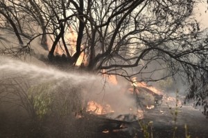 Κίνδυνος πυρκαγιάς: Συναγερμός σε 10 περιφέρειες αύριο Τρίτη 11/8 – Οι οδηγίες της Πολιτικής Προστασίας
