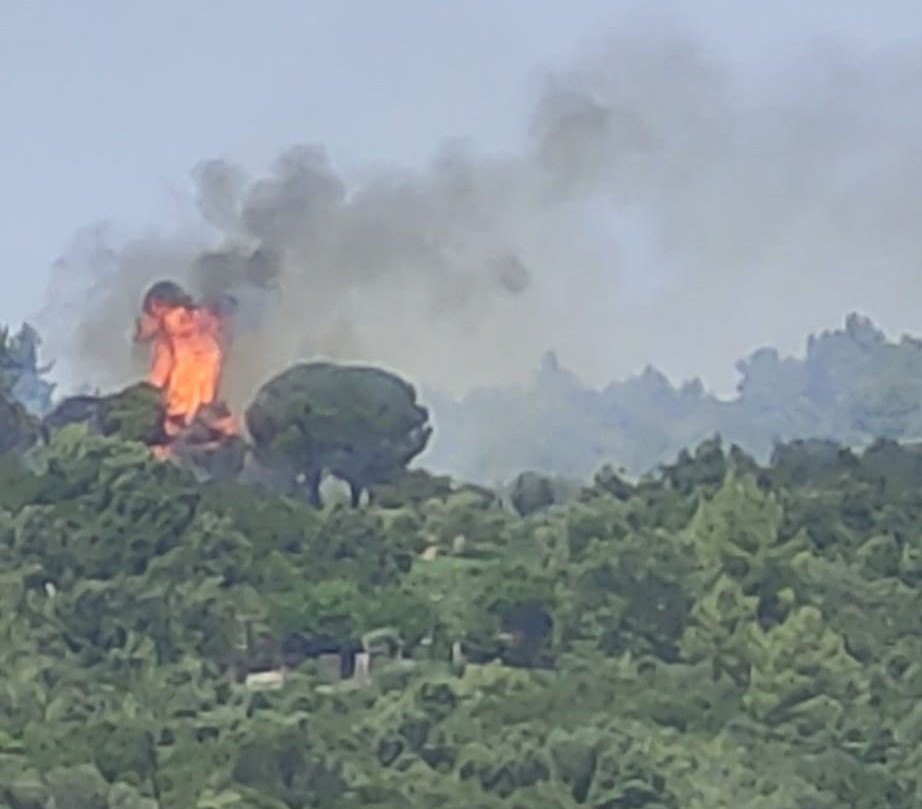 Συναγερμός για φωτιά τώρα στο Πήλιο – Στην περιοχή Πάλτση
