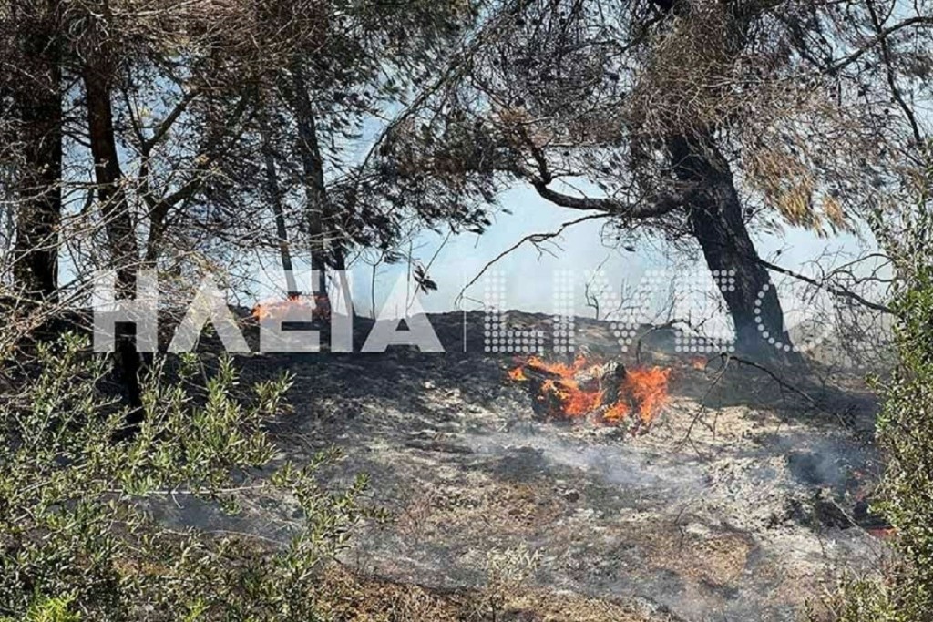 Φωτιά και στην Ηλεία – Τέθηκε υπό μερικό έλεγχο (pics)