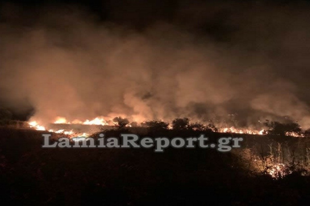 Φωτιά στα Καστέλλια Φωκίδας – Τέθηκε άμεσα υπό μερικό έλεγχο (pics)