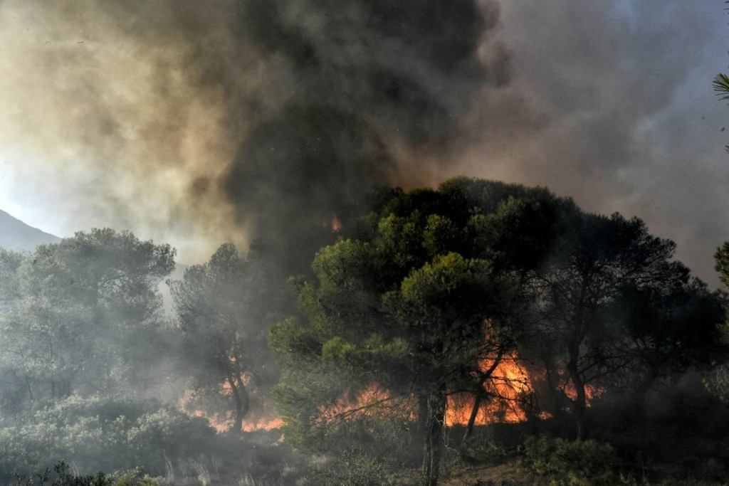Σάμος: Συνελήφθη 32χρονος για τη φωτιά στο Καρλόβασι