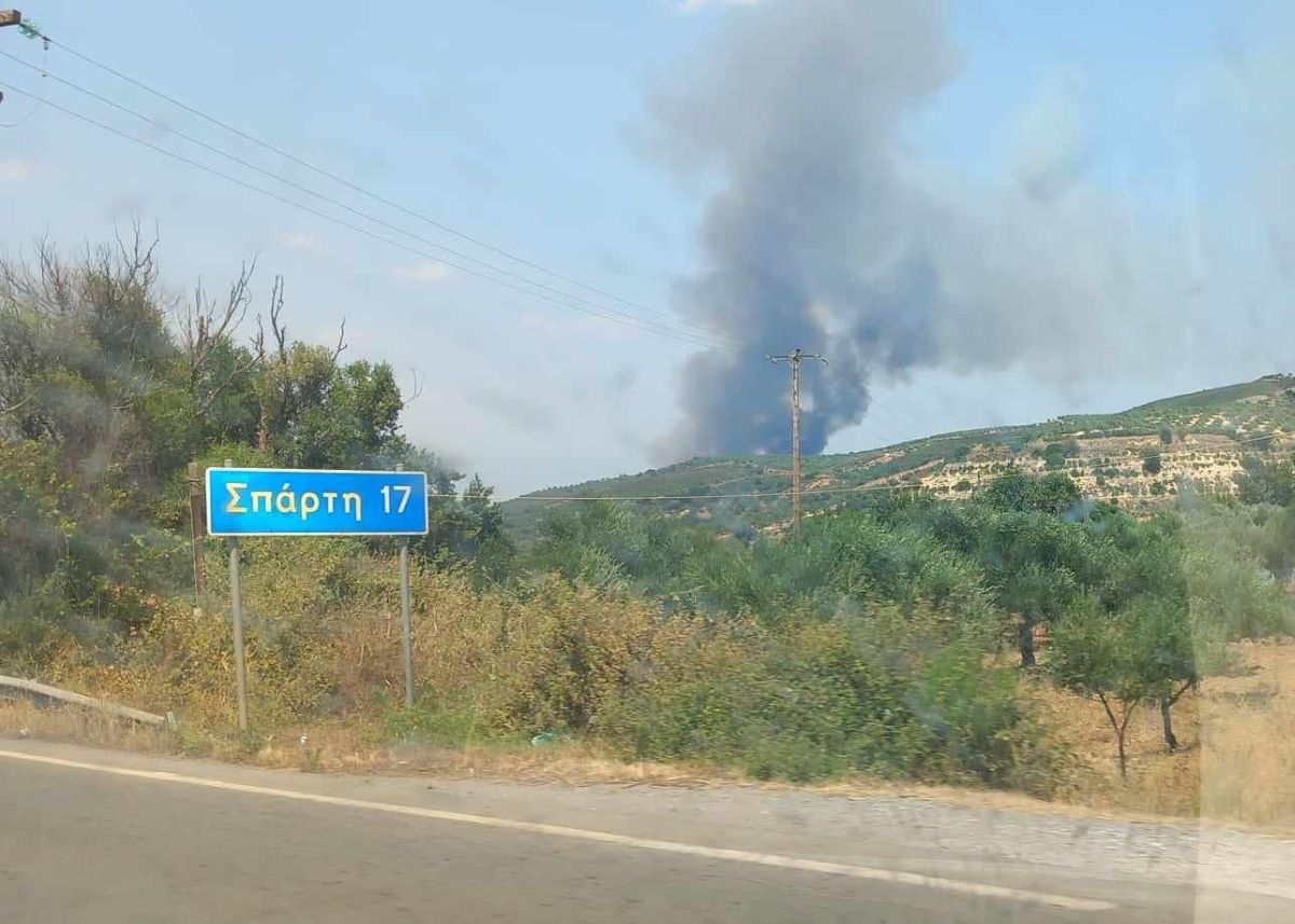 Φωτιά στο Πυρί Σπάρτης