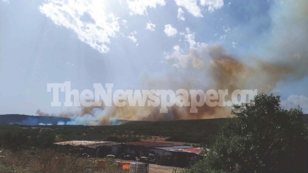 Φωτιά τώρα στον Βόλο σε πεδίο βολής – “Ακούγονται εκρήξεις” λένε κάτοικοι