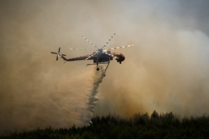 Λαγουβάρδος: 454.000 στρέμματα κάηκαν στην Ελλάδα μέχρι τις 19 Αυγούστου – 9.000.000 καμένα στρέμματα στην Ευρώπη από τις αρχές του 2025
