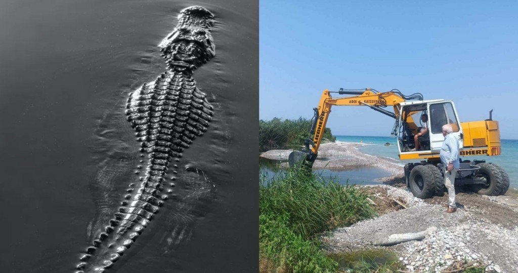 Ψάχνουν τον “κροκόδειλο” στην Ρόδο – Τι είναι το lizard monitor για το οποίο μιλούν οι ερπετολόγοι (pics)