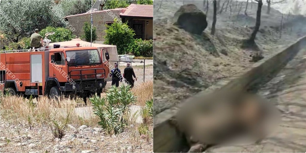 Ρόδος: Εικόνες σοκ από την πύρινη κόλαση – Καμένα σπίτια και ξενοδοχεία – Νεκρά ελάφια στους δρόμους
