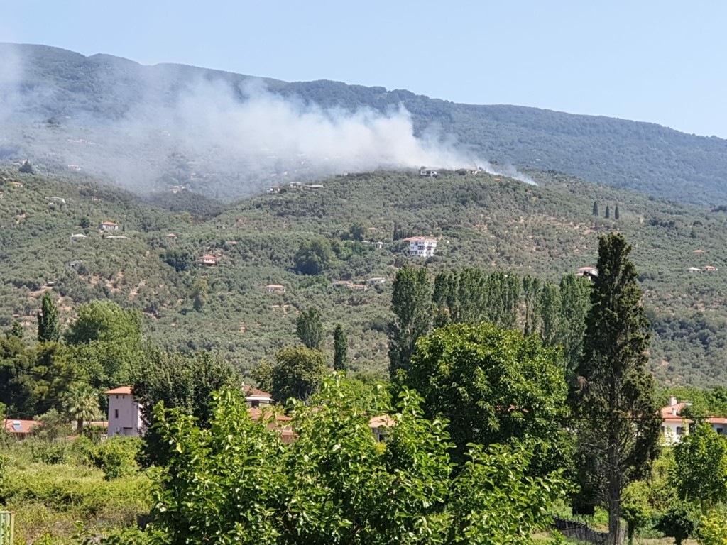 Φωτιά ΤΩΡΑ στο Πήλιο – Στην περιοχή Αργυραίικα
