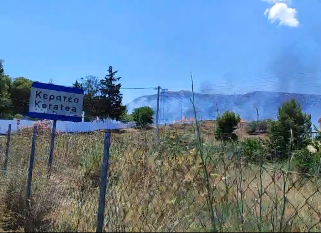 Οριοθετήθηκε η φωτιά στην Κερατέα – 52 πυροσβέστες στη μάχη με τις φλόγες